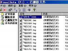 硬盤數據恢復軟件 FinalData